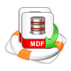Recover Deleted Tables